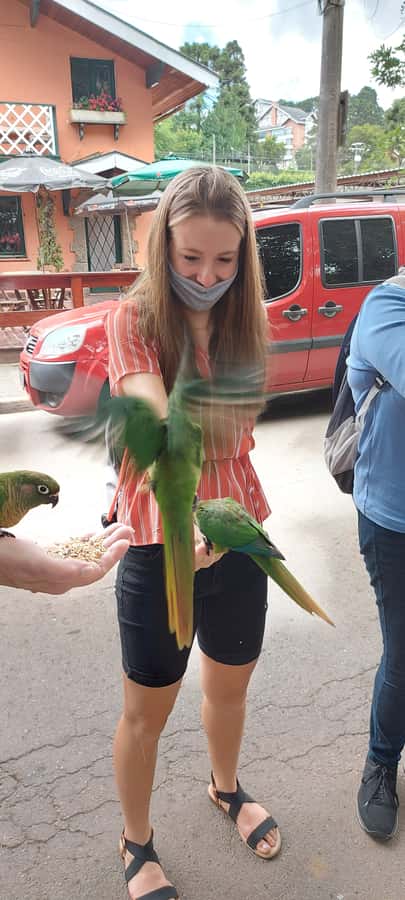 Campos do Jordão The Brazilian Switzerland,Full Day Trip - What the $250 price really buys you