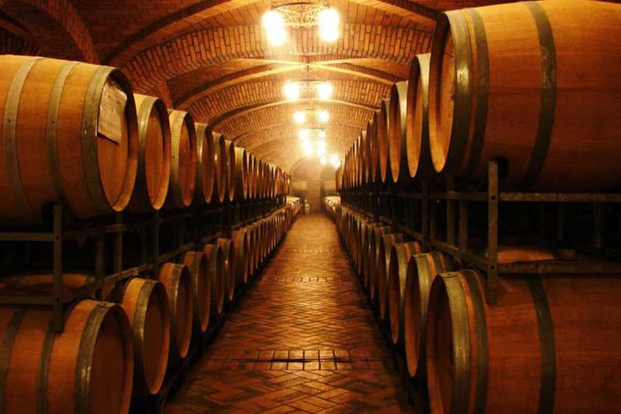 Canela/Gramado: South Wineries, Wine Train, & Italian Park - Five things to know before you book
