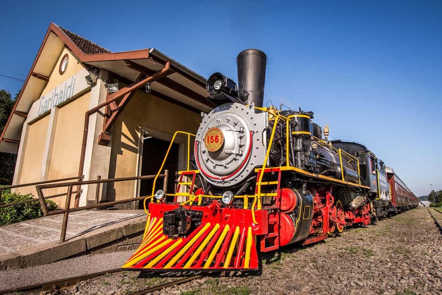 Canela/Gramado: South Wineries, Wine Train, & Italian Park - Aurora Winery: production over vineyard romance