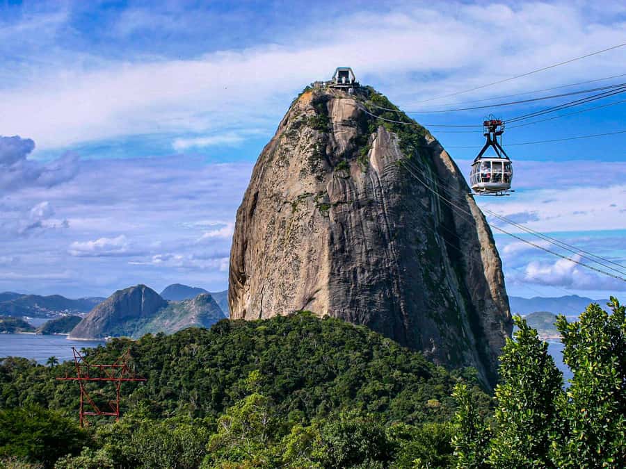 Christ the Redeemer and Escadaria Selarón Half-Day Tour - Riding Through Tijuca to Corcovado Hill
