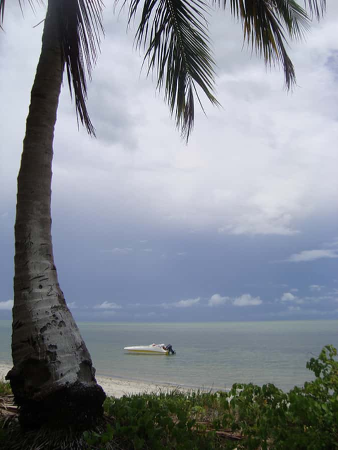 Colonial North Coast beaches - Full-Day Tour - From Boa Viagem to the North Coast