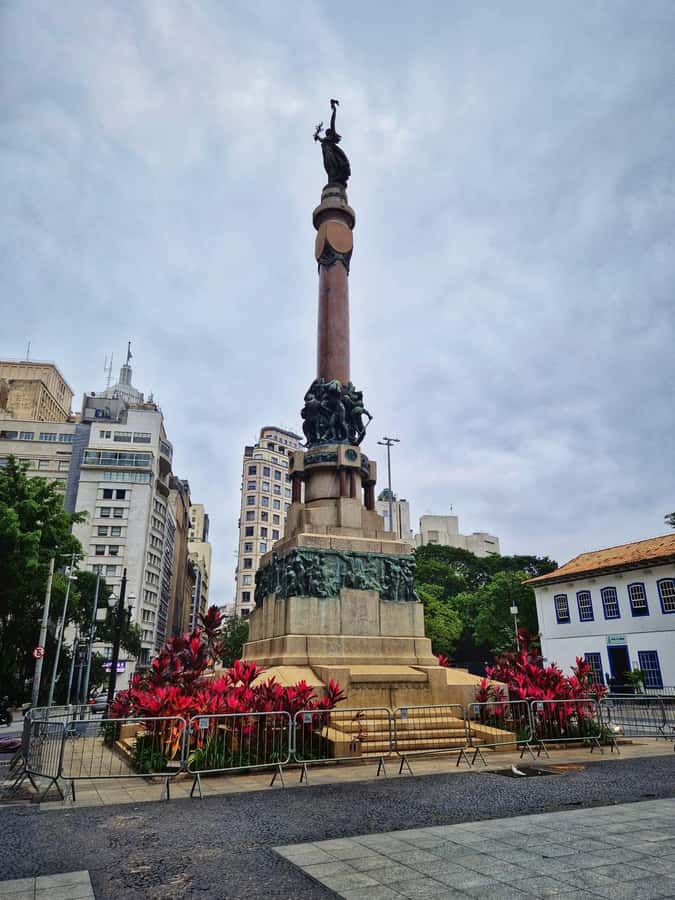 Companionship of a bilingual guide in São Paulo - What the strongest feedback tells you