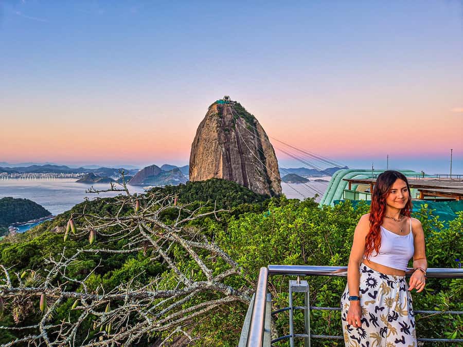 Corcovado, Sugarloaf Mountain, and Selarón Steps 6-Hour Tour - Is $146 a fair price?