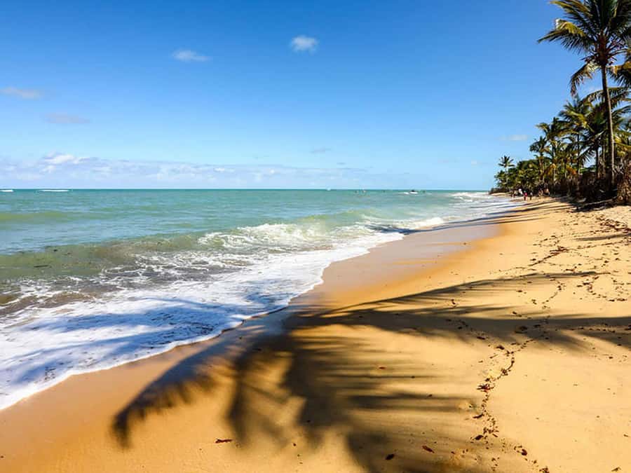 Cumbuco Adventure: Dune Rides, Lagoa do Catu & Coastal Views - Why Cumbuco makes a good day trip from Fortaleza