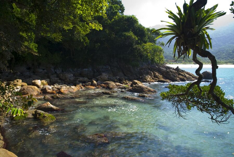 Day Tour to Trindade: Nature and Sea Adventure from Paraty - Guides, pace, and the one weak point