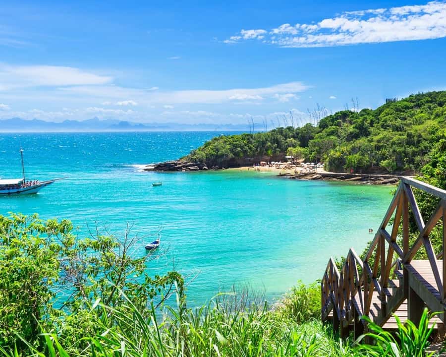 Discover Búzios Beaches and Boat Tours - Leaving from Búzios - Key points before you book