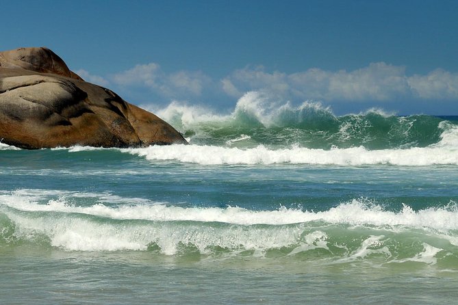 Discover Florianópolis: Full Day City Tour and Local Highlights - Joaquina Beach, where surfing shapes the stop