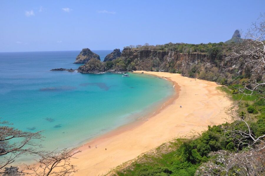 Discover Noronha: 7-Hour Ilhatour Adventure - The wildlife promise is exciting, but not guaranteed