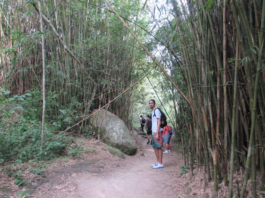 Discover Pedra do Telégrafo: Scenic Hike with Expert Guide - The 6:00 am pickup and ride out of Rio