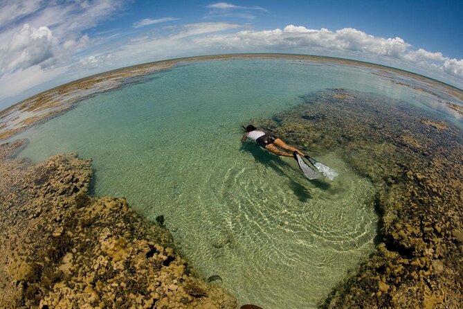 Discover Underwater Beauty: Explore Maracajaú's Parrachos Reef - What makes this Maracajaú day trip worth considering