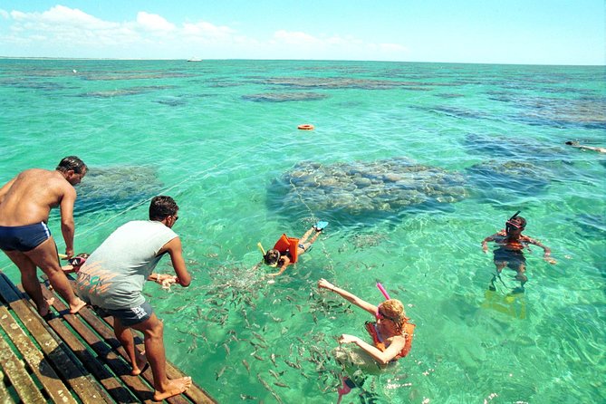 Discover Underwater Beauty: Explore Maracajaú's Parrachos Reef - From Natal to Maracajaú: an easy start to a long day