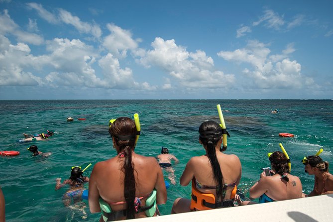 Discover Underwater Beauty: Explore Maracajaú's Parrachos Reef - What the $101.94 price includes