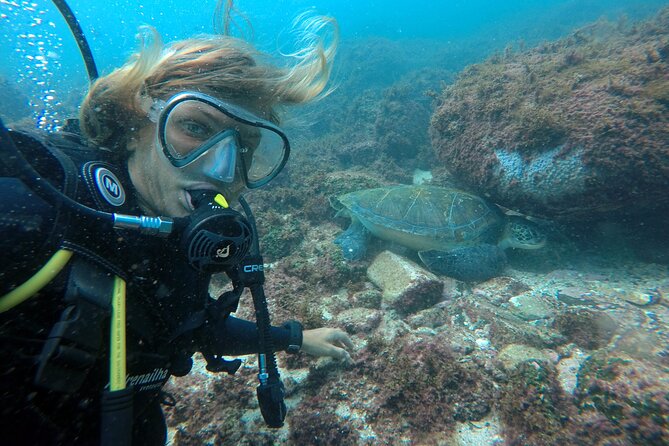 Diving with Turtles in Floripa - Starting at Barra Náutica at 8:00 am