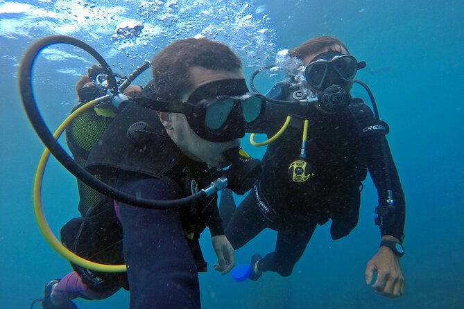 Diving with Turtles in Floripa - The 30-minute underwater session near Xavier Island