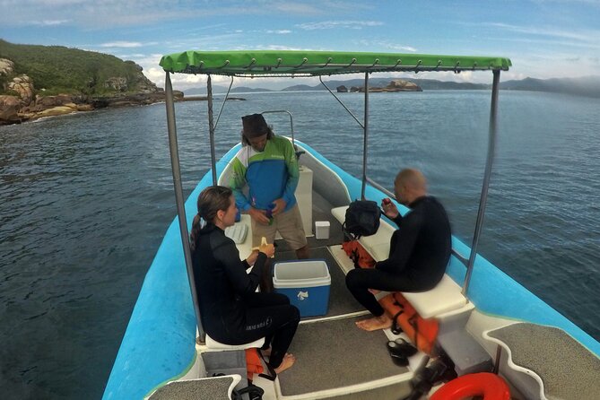 Diving with Turtles in Floripa - Why first-time participants may feel at ease