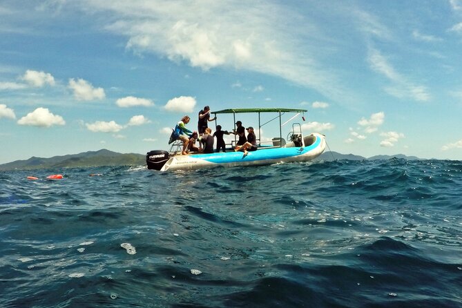 Diving with Turtles in Floripa - Fruit, water, and the return to Barra da Lagoa