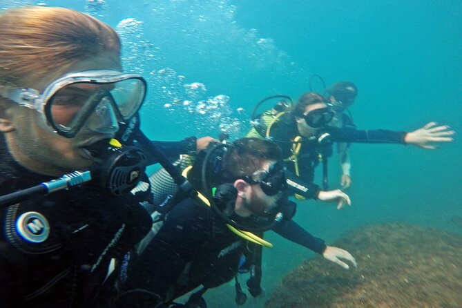 Diving with Turtles in Floripa - Sea conditions, visibility, and the turtle question