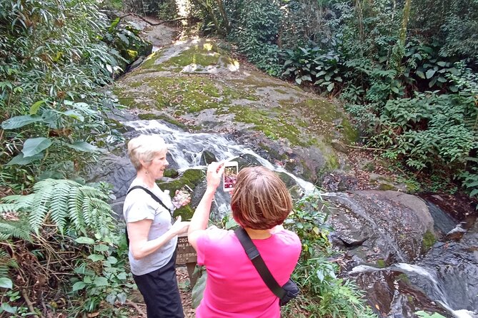 Ecological walk in sao paulo - Why Cantareira makes a good São Paulo escape