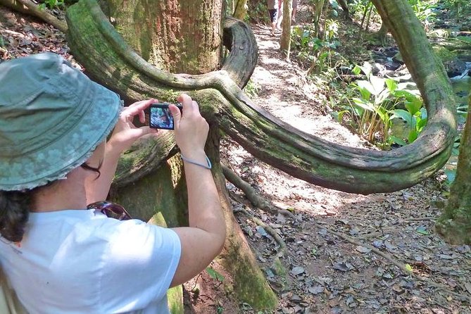 Ecological walk in sao paulo - Transport, timing, and what is included
