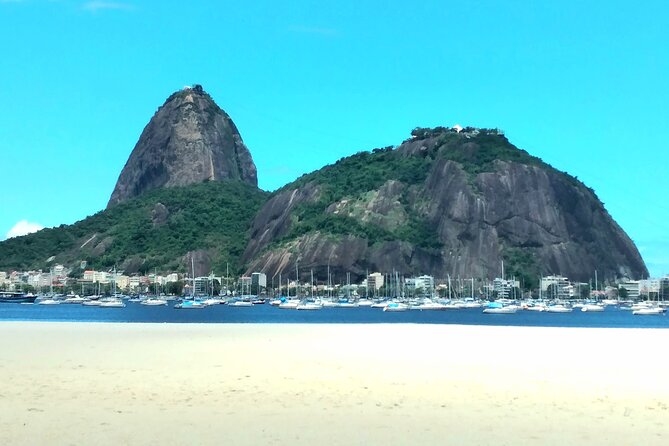 Exclusive Private Rio Tour: Guide & Private Car/Driver - Kobra’s Etnias mural and Rio’s public art