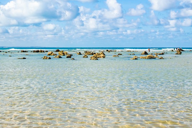 Excursion to Pipa in Rio Grande do Norte - Who Will Enjoy This Excursion Most