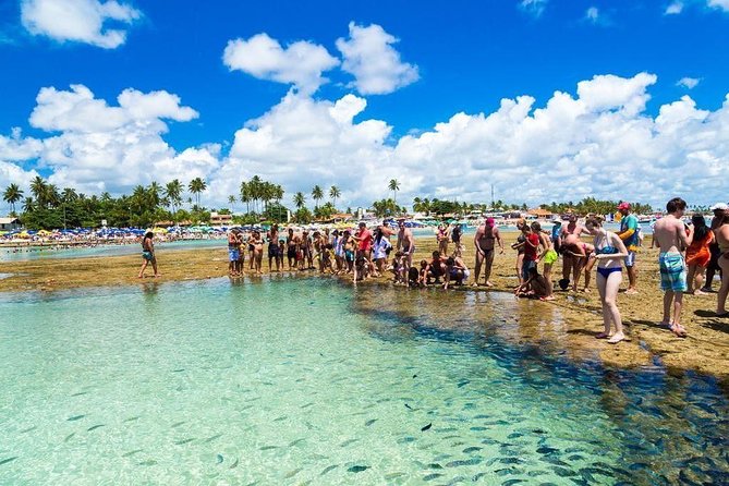 Excursion to Porto de Galinhas in Pernambuco - What the beach stop gives you