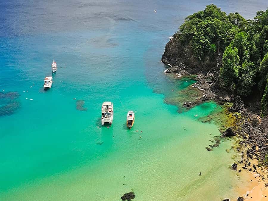 Fernando de Noronha: 7-Hour Island Adventure - Praia do Leão brings open coastal views
