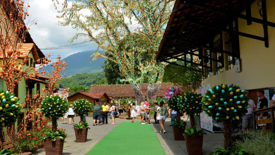Florianópolis: Blumenau and Pomerode Germanic Route Day Trip - Why this route is worth the long ride from Florianópolis