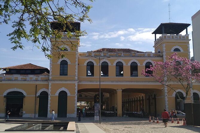 Florianópolis city tour (full day) - Morro da Cruz and the best city overview