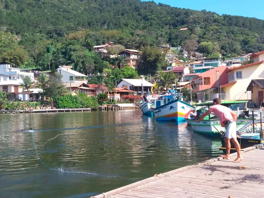 Florianópolis: Historical Center, Beach & Nature Tour - Crossing Hercílio Luz Bridge for the big city view