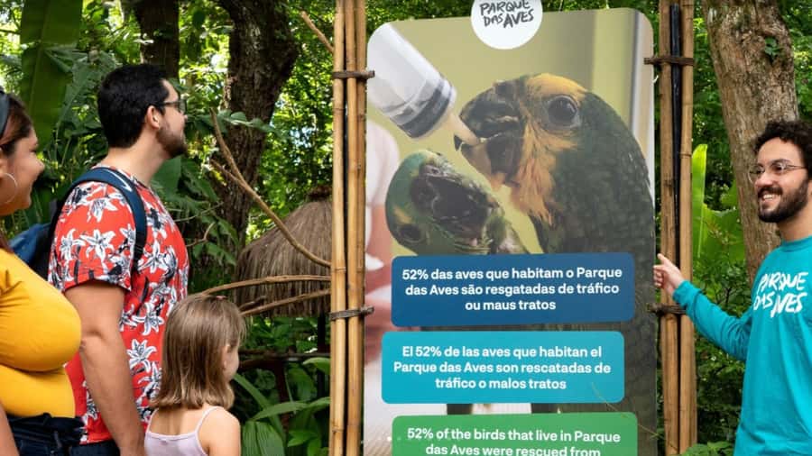 Foz do Iguaçu: Bird Park Tour with Tickets - Beyond birds: butterflies, hummingbirds, reptiles, and alligators