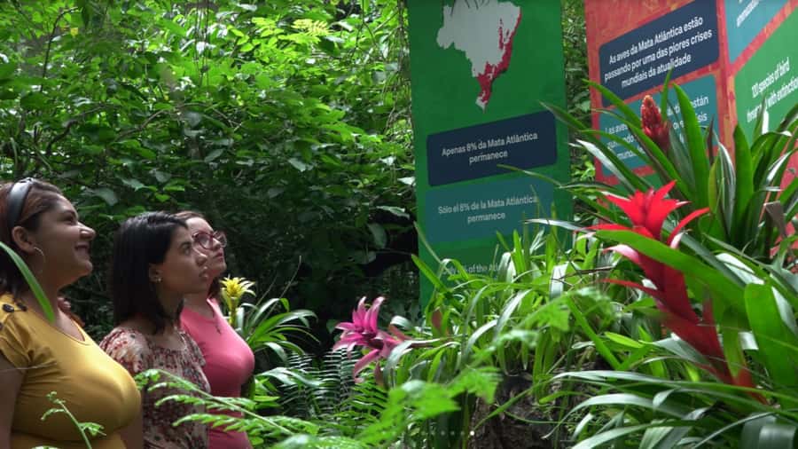Foz do Iguaçu: Bird Park Tour with Tickets - Two hours inside, three hours overall