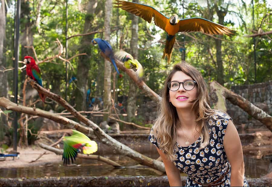 Foz do Iguaçu: Bird Park Tour with Tickets - Is $54 fair for this experience?