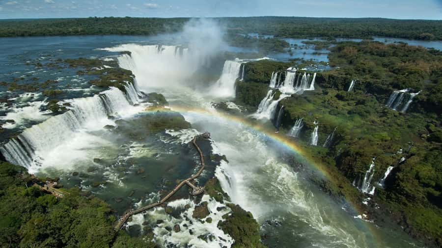 Foz do Iguaçu: Brazilian Side of the Falls + Bird Park - Guides, language, and the pace of the day