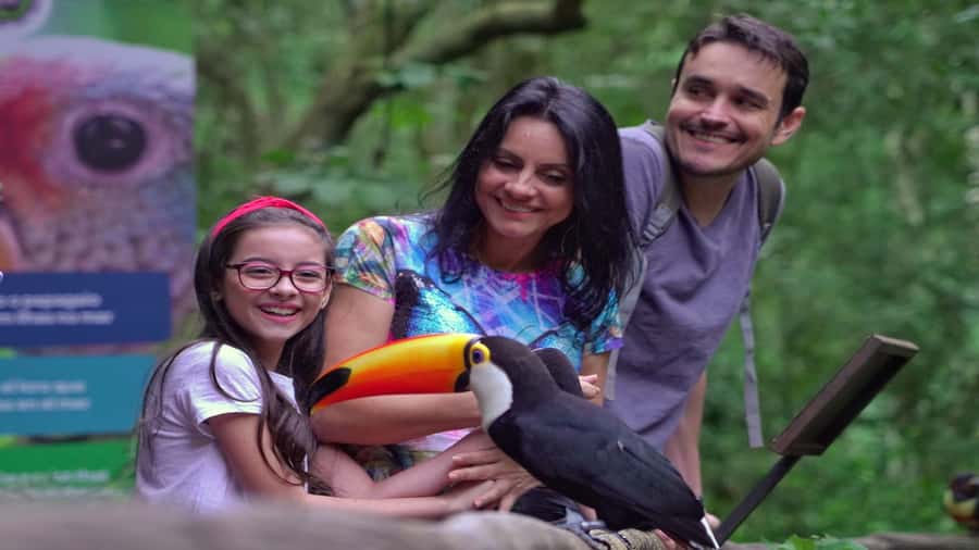 Foz do Iguaçu: Brazilian Side of the Falls + Bird Park - Who should book this experience?
