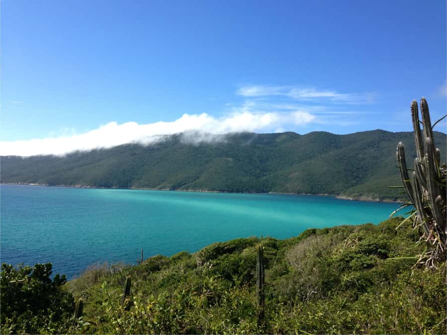 From Búzios: Arraial do Cabo and Cabo Frio Day Trip - The port wait can shape the whole day