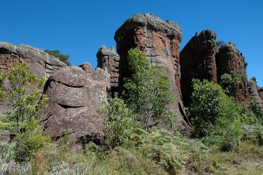 From Curitiba: Vila Velha State Park Full-Day Group Tour - Guide languages and the value of interpretation
