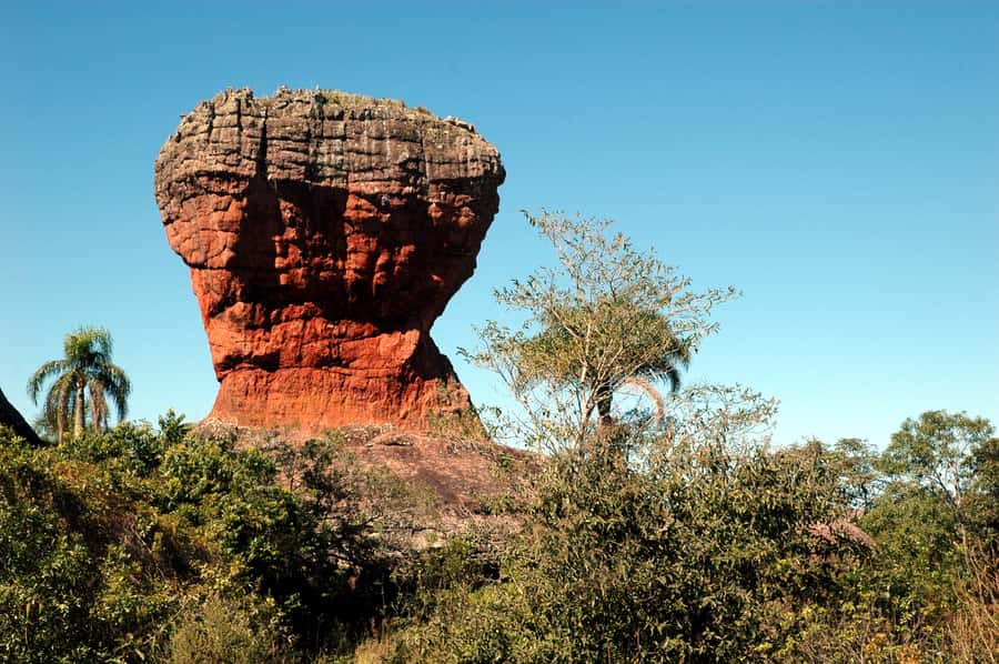 From Curitiba: Vila Velha State Park Full-Day Group Tour - Is $200 a fair price?