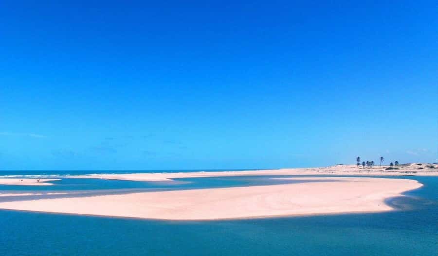 From Fortaleza: Águas Belas Beach Day Trip - Who Will Enjoy This Beach Trip