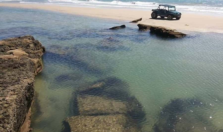 From Fortaleza: Águas Belas Beach Day Trip - Arriving at the River and Sea