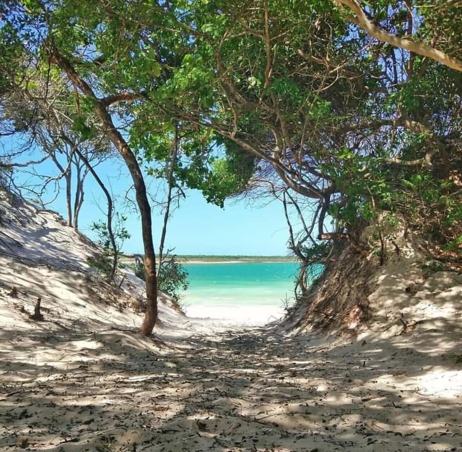 From Fortaleza: Day Trip to Jericoacoara - Jericoacoara village and the dunes