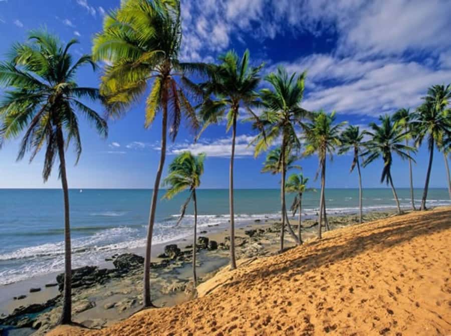 From Fortaleza: Lagoinha Beach Day Trip - Arriving at Lagoinha Beach