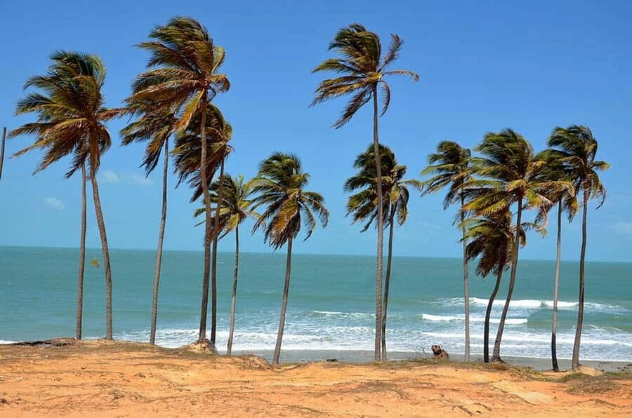 From Fortaleza: Lagoinha Beach Day Trip - What the guiding is like
