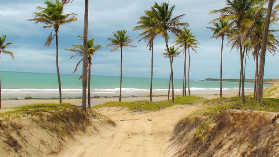 From Fortaleza: Lagoinha Beach Day Trip - The first stop: an optional lunch break