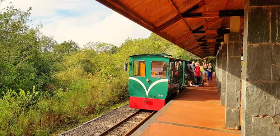 From Foz do Iguaçu: Argentinian Iguazu Falls with Boat Ride - From your hotel to Puerto Macuco