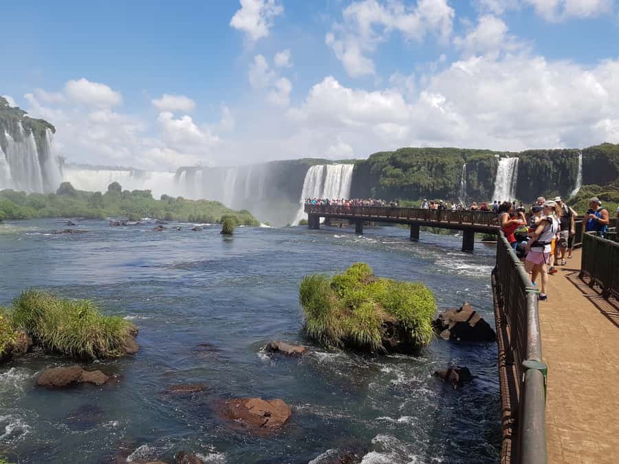 From Foz do Iguaçu: Brazilian Falls and Bird Park Tour - The 11-kilometer ride through Iguaçu National Park