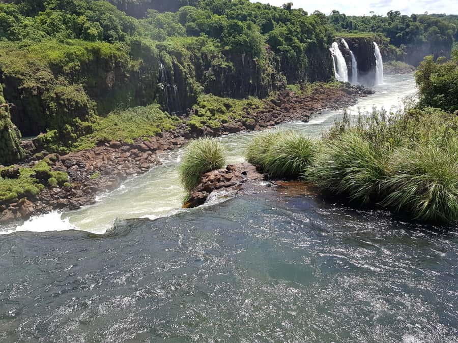 From Foz do Iguaçu: Brazilian Falls and Bird Park Tour - The Brazilian falls trail and its best views
