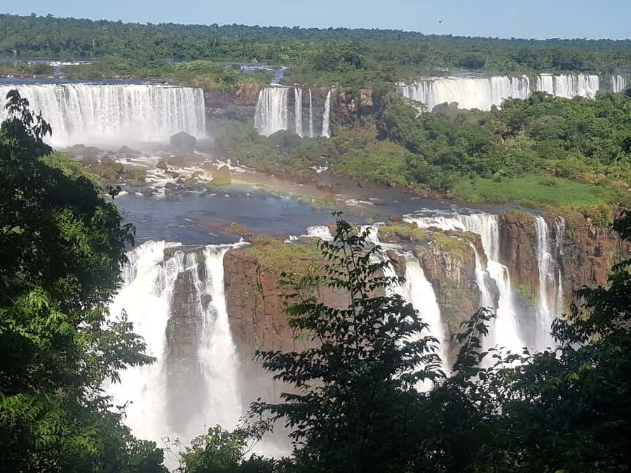 From Foz do Iguaçu: Brazilian Falls and Bird Park Tour - How the guides shape the day