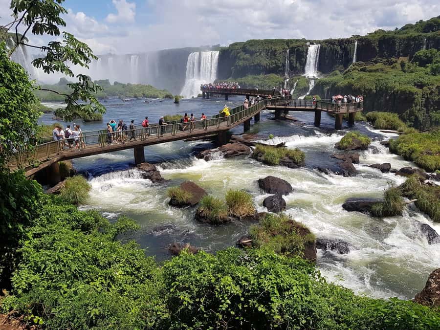 From Foz do Iguaçu: Brazilian Falls and Bird Park Tour - Transport, timing, and what the $38 covers