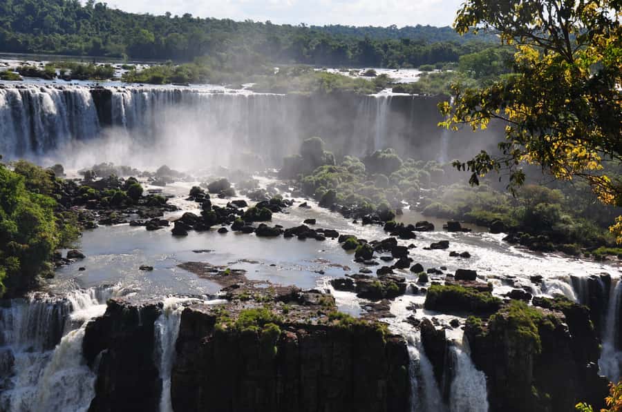From Foz do Iguaçu: Brazilian Falls and Bird Park Tour - Starting with Atlantic Forest birds at the Bird Park